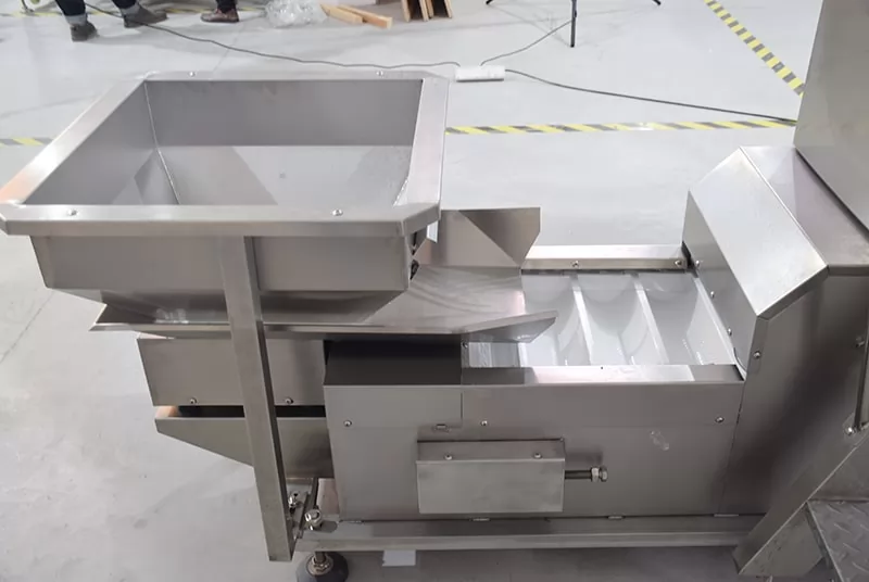 Freeze dried fruits packing machine