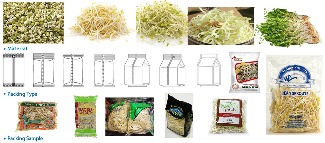 Automatic Bean Sprouts Packaging Machine With Chain Bucket