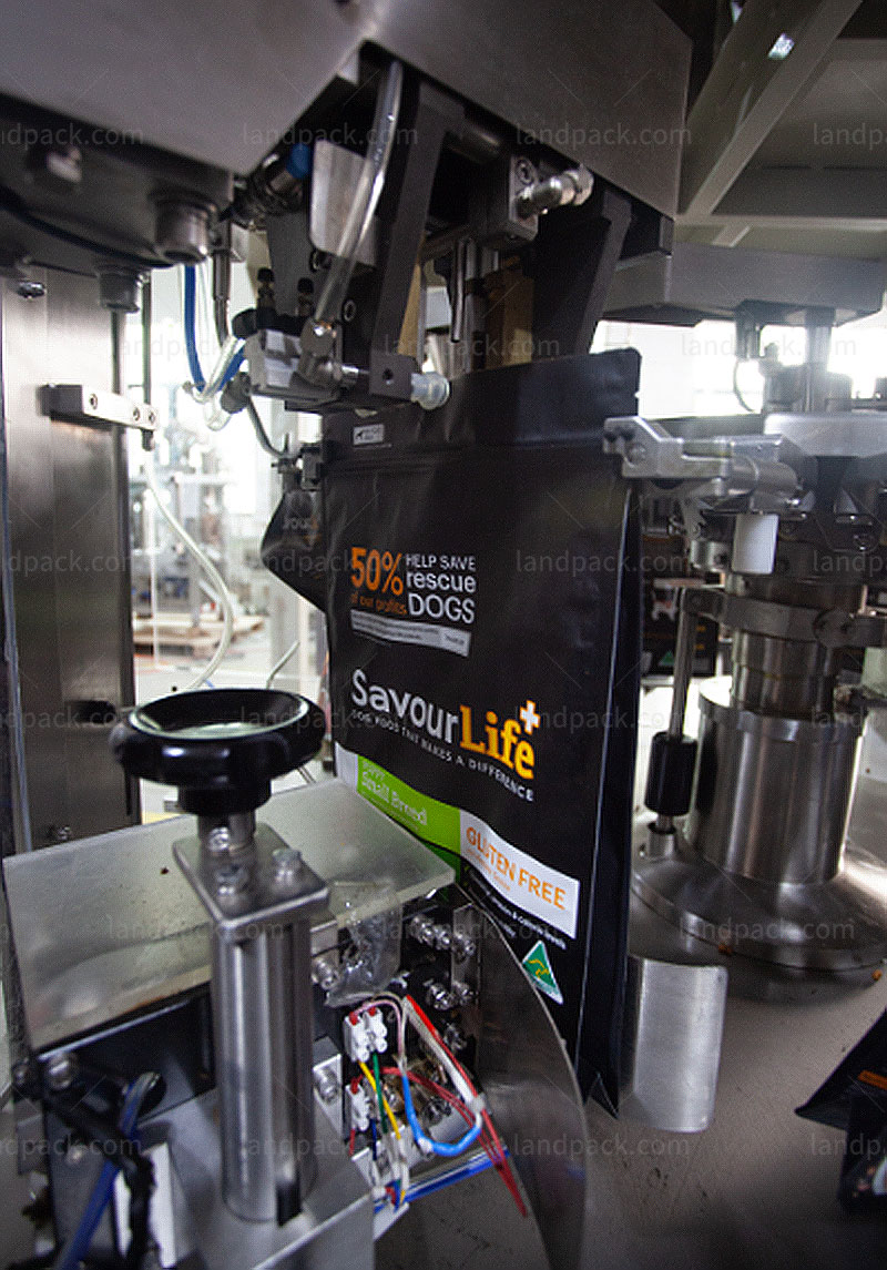 rotary pouch filling machine