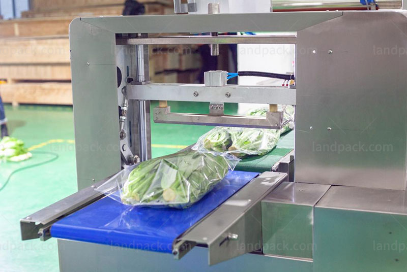lettuce packaging machine