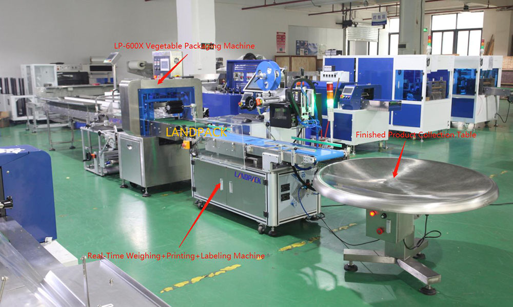 American Customer--LP-600X Vegetable Packaging Machine