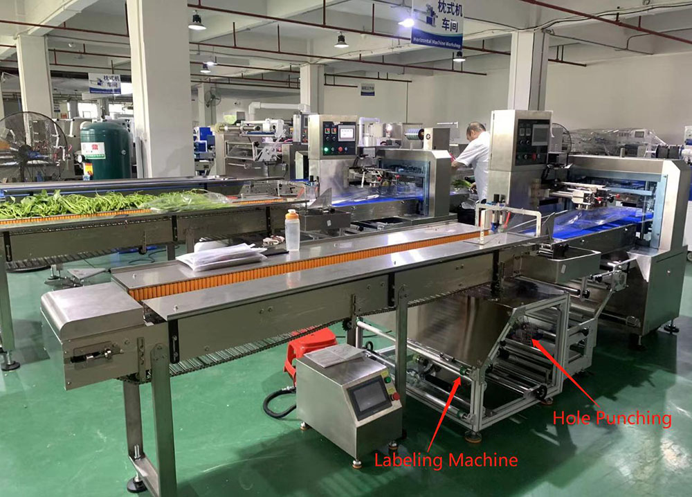 American Customer--LP-600X Vegetable Packaging Machine