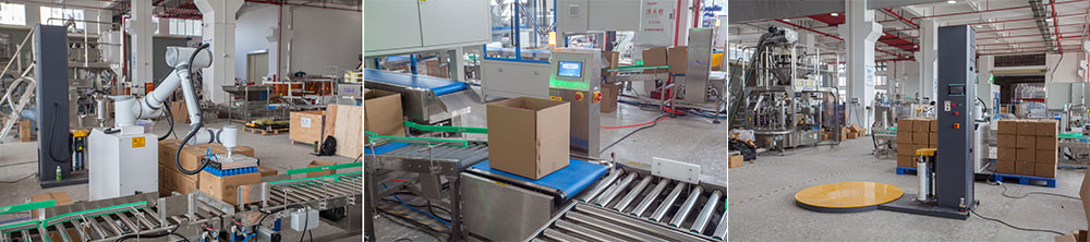 The Ultimate Guide to Advanced Packing Systems: Boosting Efficiency and Reducing Costs The Ultimate Guide to Advanced Packing Systems: Boosting Efficiency and Reducing Costs
