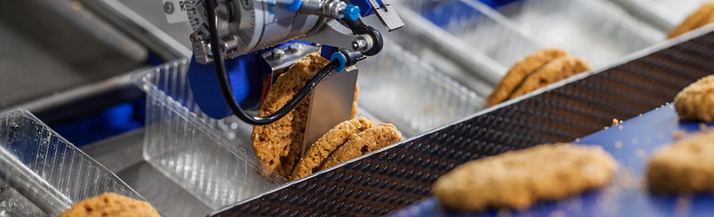 Secondary Packaging System: Connecting Primary Packaging with Efficient End-of-Line Packaging