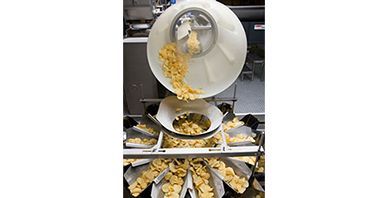 Potato Chip Centralized Feeding and Packaging System