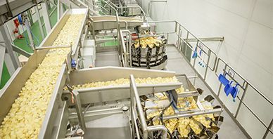 Saudi Customer Potato Chip Packaging System