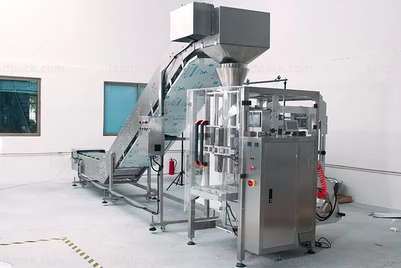 dumpling packing machine