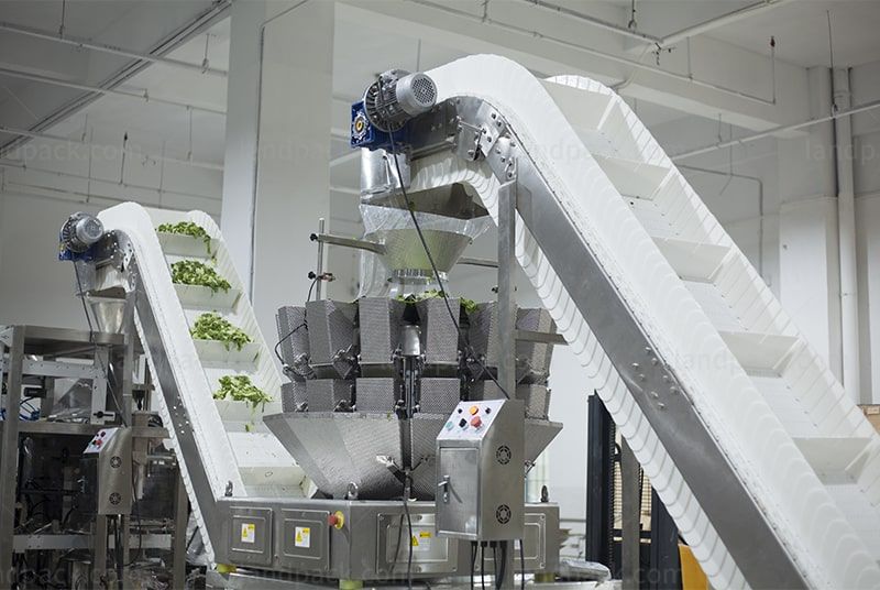 Lettuce shop packing machine
