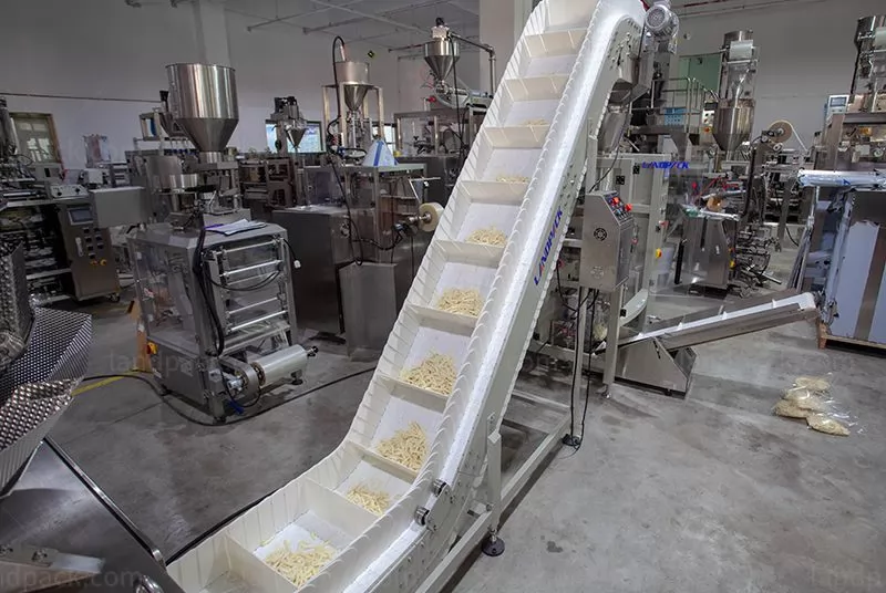 frozen foods packaging machine