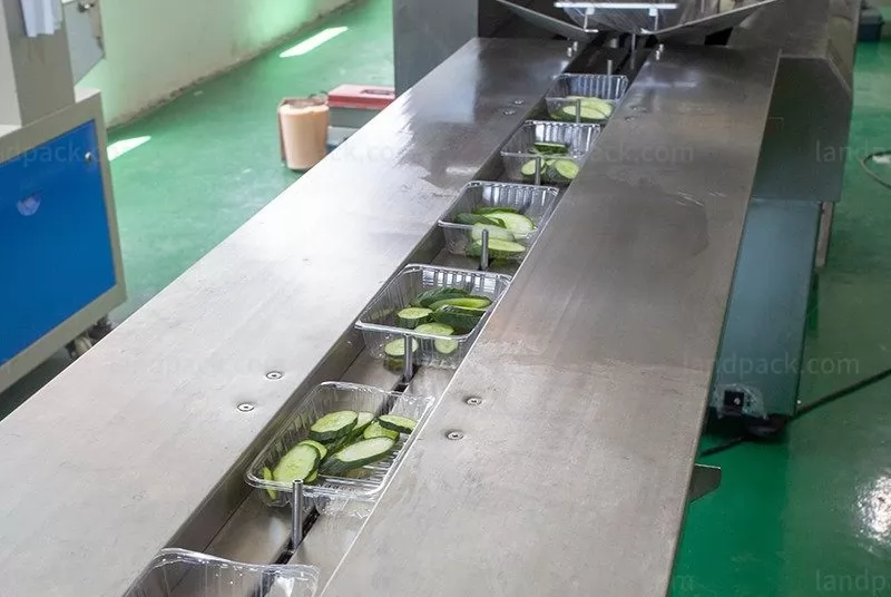 frozen fish packing machine