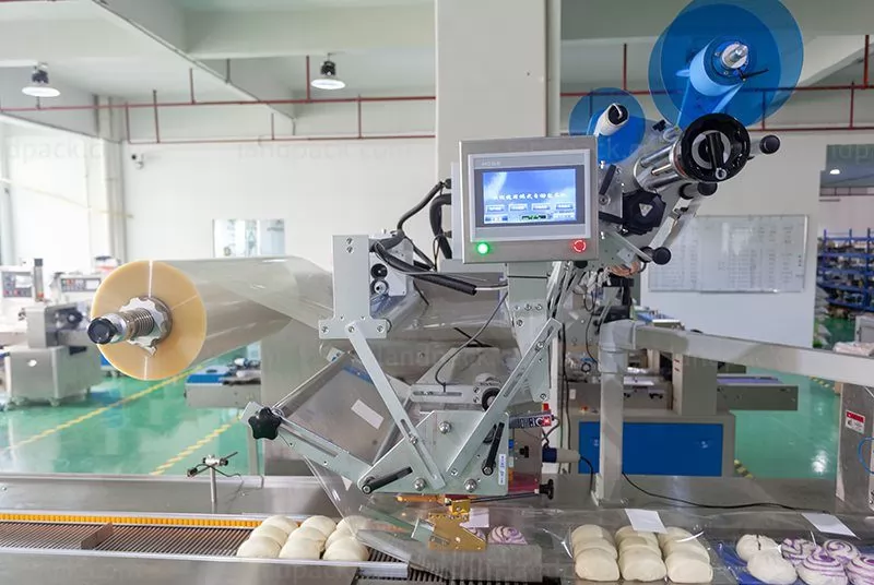 frozen fish packing machine