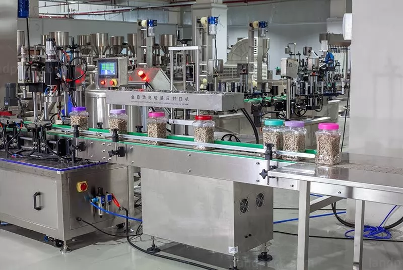 dried fruits filling machine