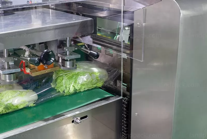 fruit and vegetable wrapping machine