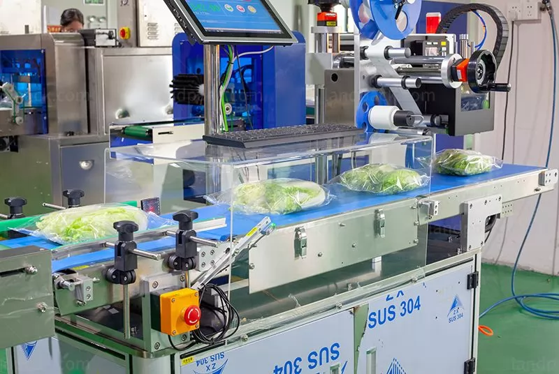 fruit packaging machine