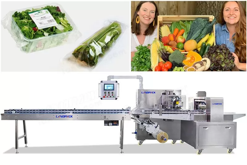 Automatic Fresh Vegetables and Fruits Pillow Flow Packaging Machine