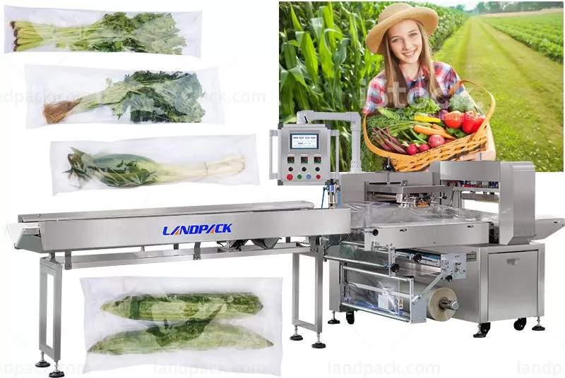 vegetable wrapping machine