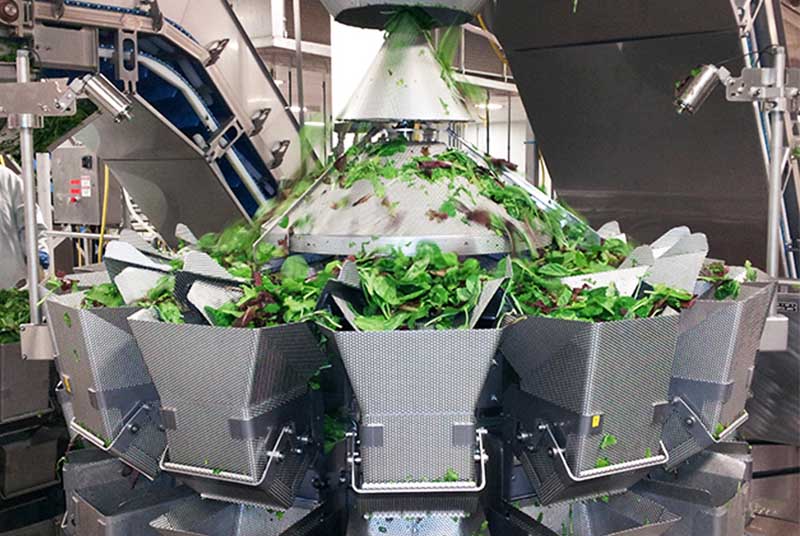 How Vegetables and Fruits Develop Quality Washing and Packaging Solutions