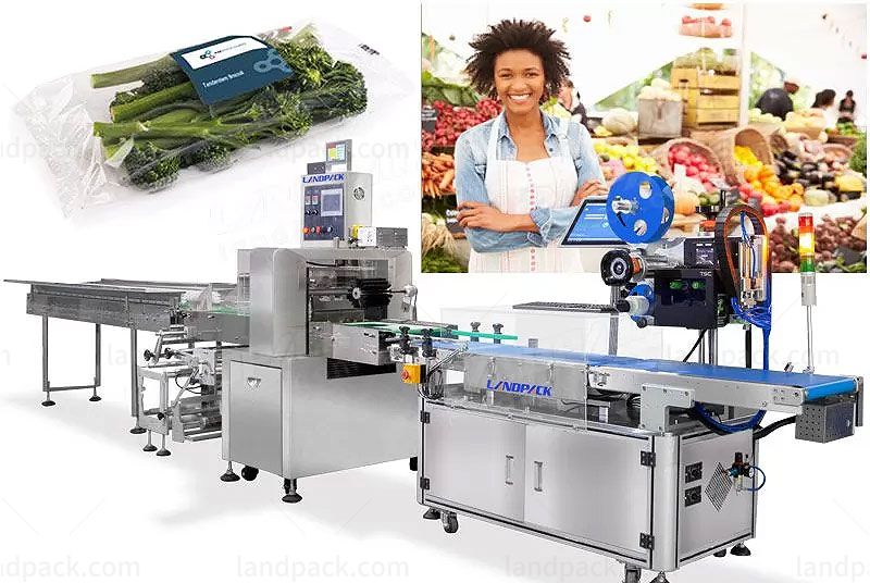 Fruit And Vegetable Packaging Machine Maintenance And Precautions