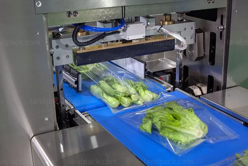 vegetable wrapping machine