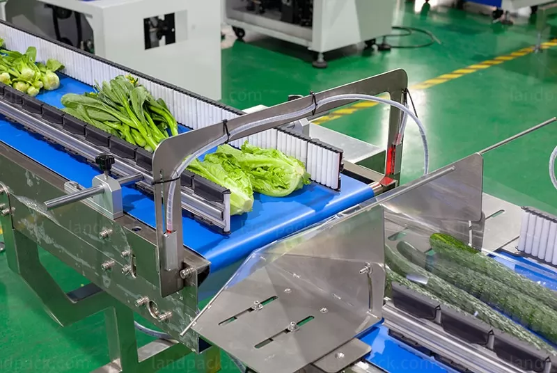 vegetable packing machine price