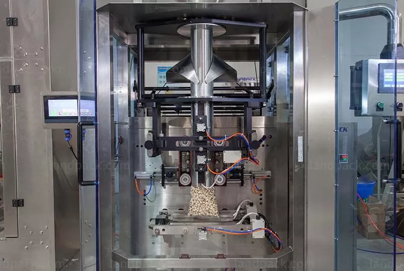 cashew packing machine