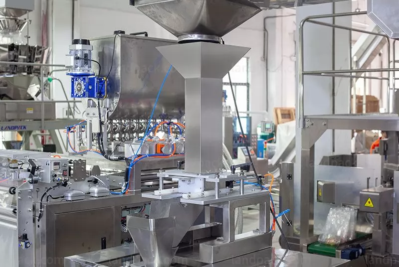 frozen food packing machine