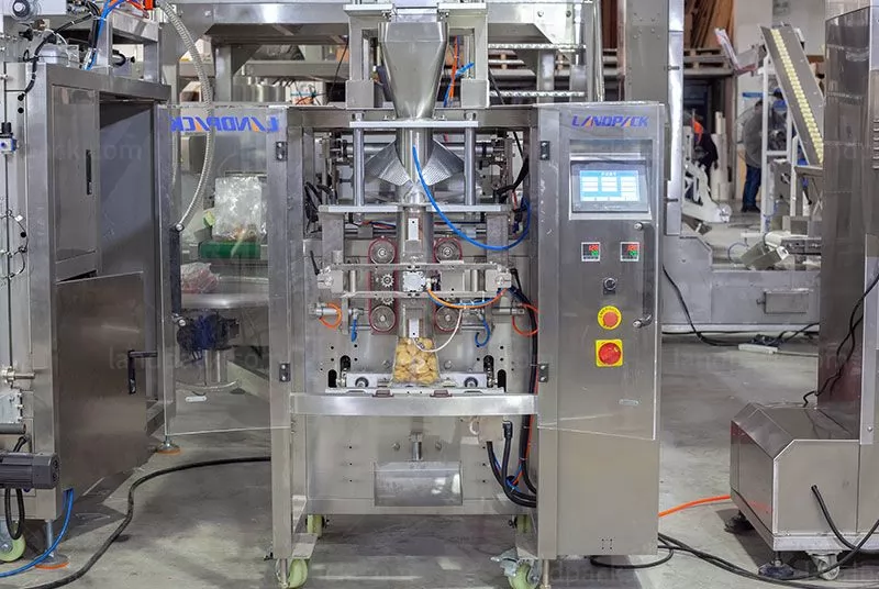 frozen foods packaging machine