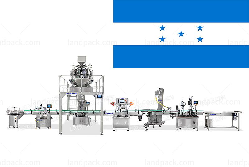 Honduras Customer Case Who Bought A Plantain Chips Packaging System