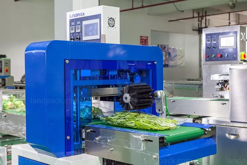 vegetable packing machine