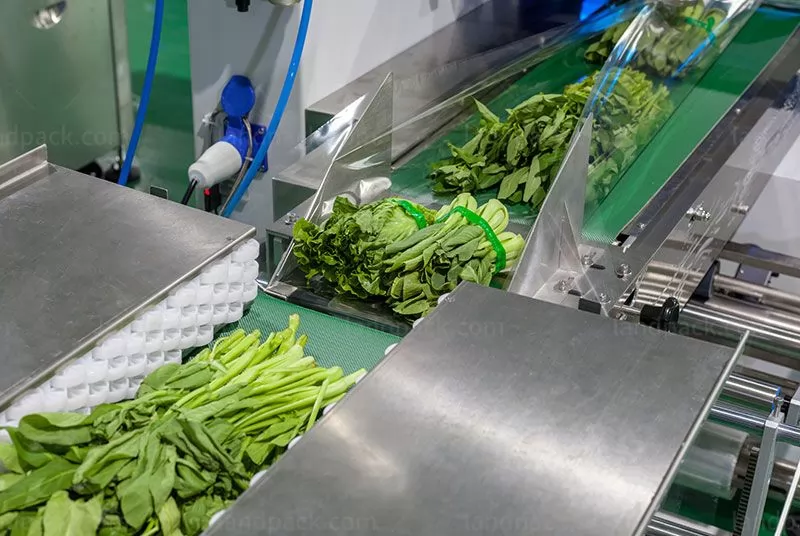 vegetable packing machine price