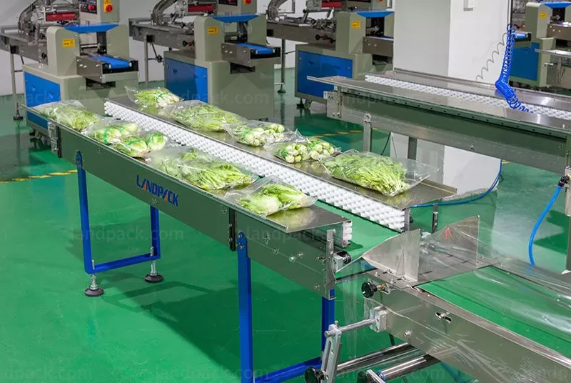 vegetable packaging equipment