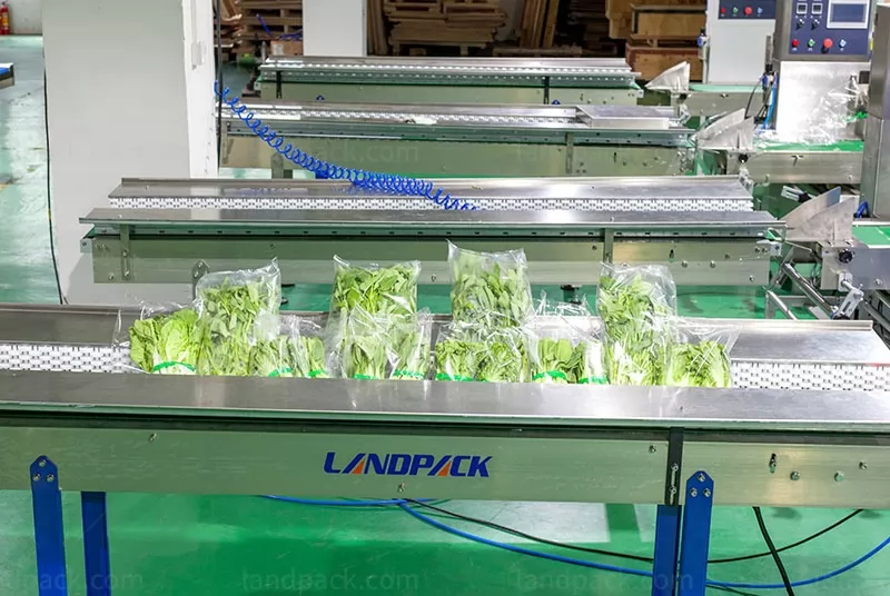 lettuce packing machine