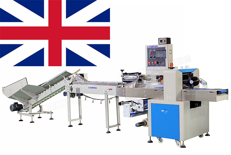 Fruits Flow Packaging Machine For Successful England Customer Case