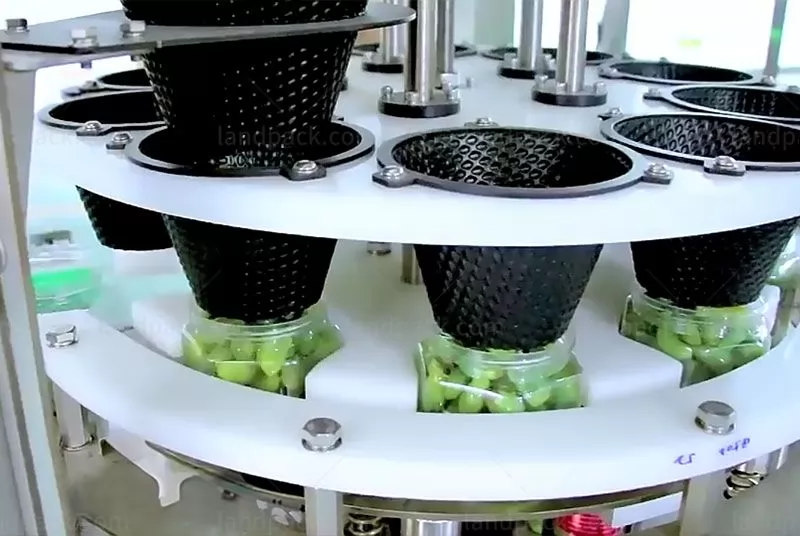 garlic packing machines