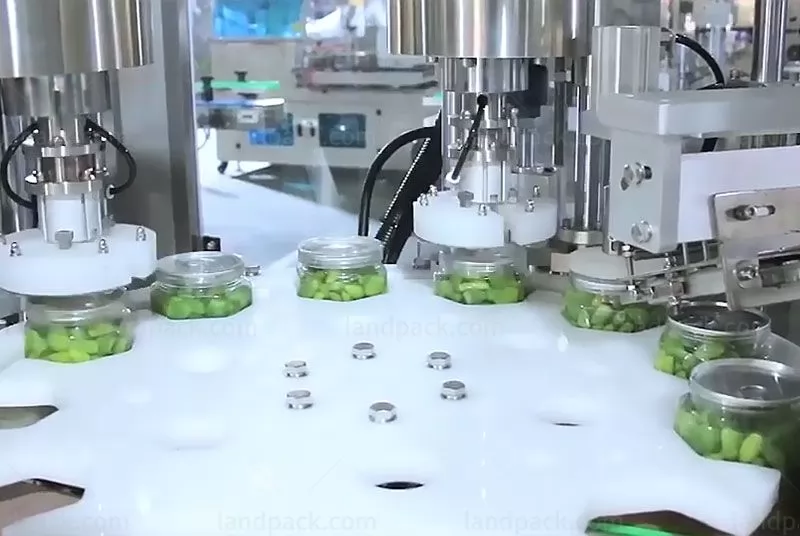 garlic packing machine cost