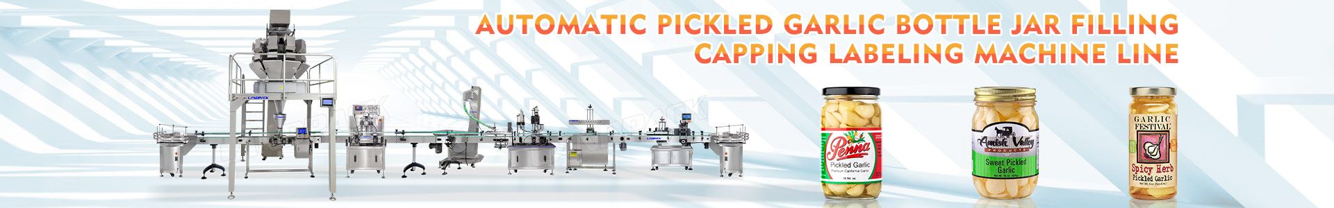 garlic packing machine