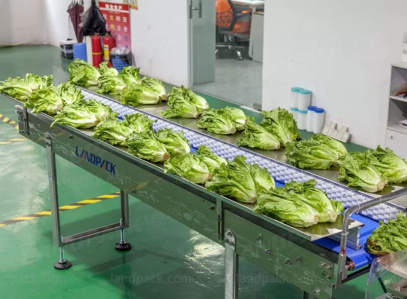 vegetable packaging machine