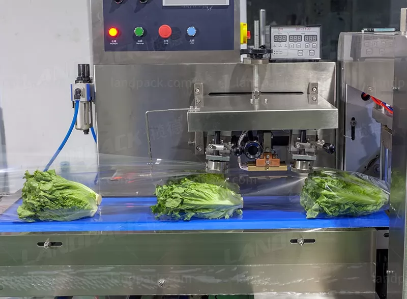 fresh vegetable packaging machine