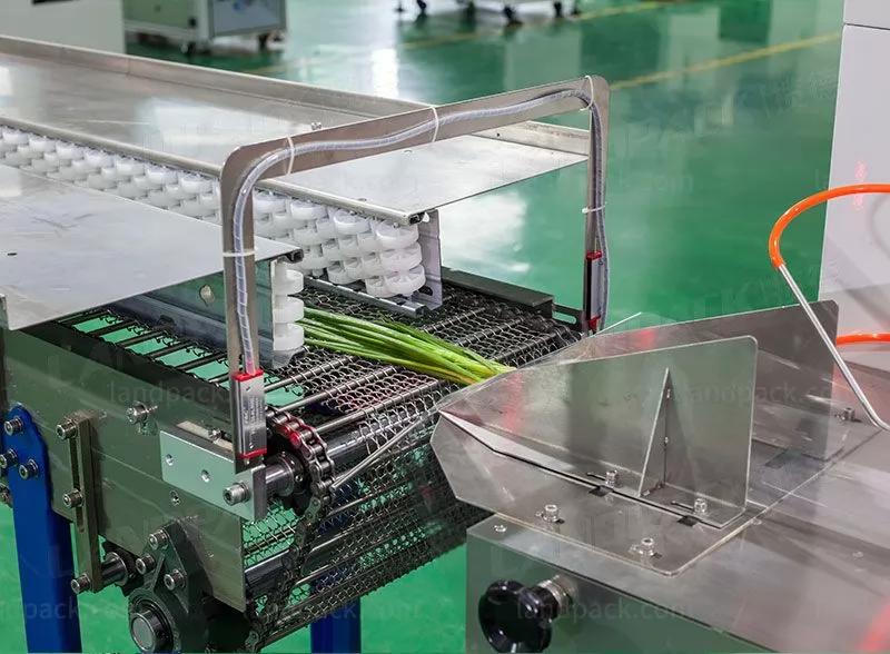 vegetable packing machine price