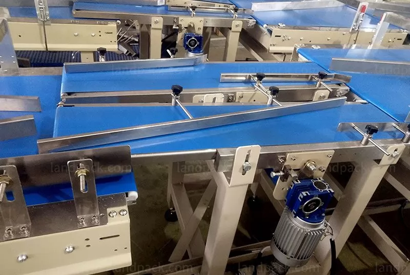 packing line