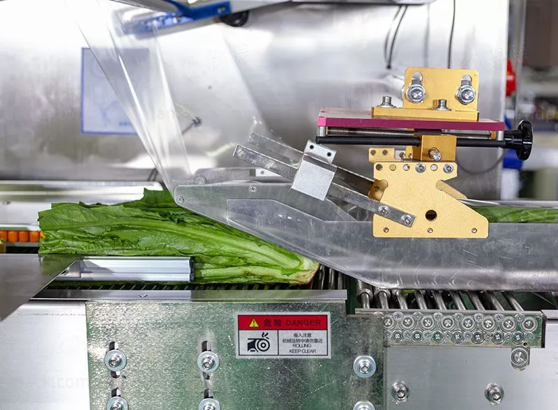 fresh vegetable packing machine