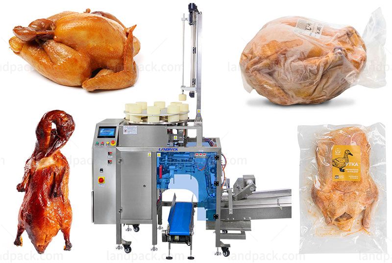 Frozen Food Beef Chicken Pork Seafood Vacuum Pouch Mini Packing Machine