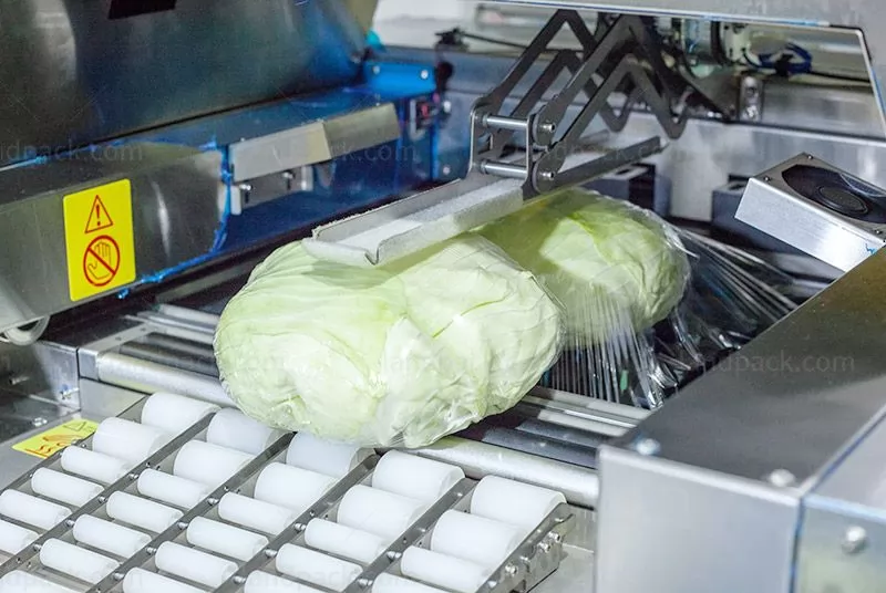 fruit packing machine