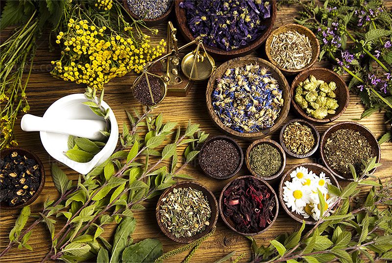 Hungarian Client's Satisfaction with Landpack's Custom Herb Powder Filling Line
