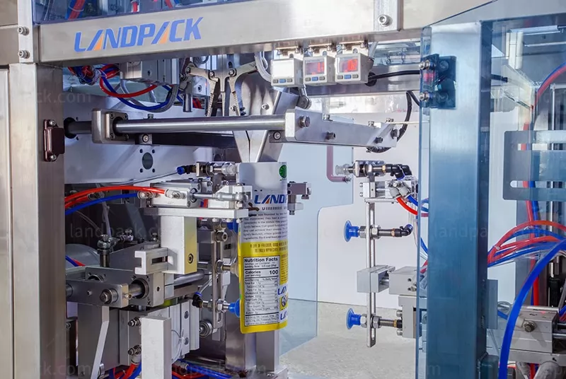raisin packing machine