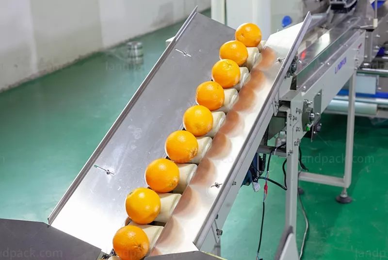 fruit packaging machine