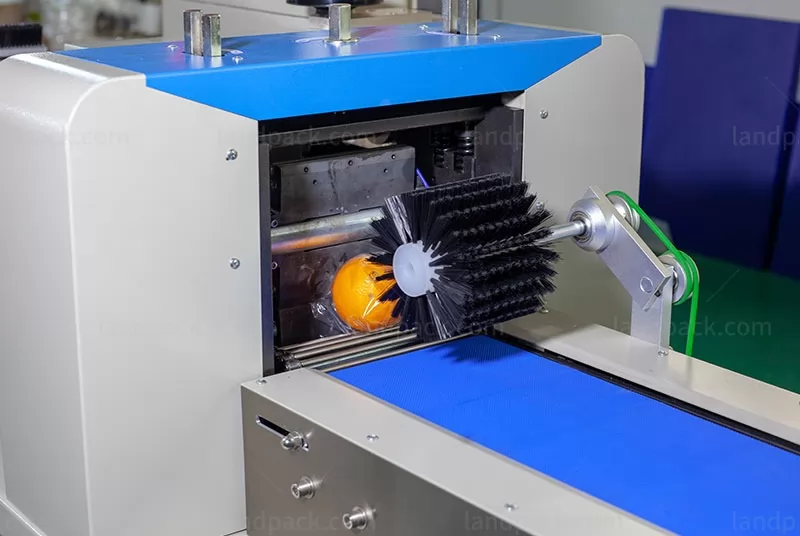 fruit packing machine price