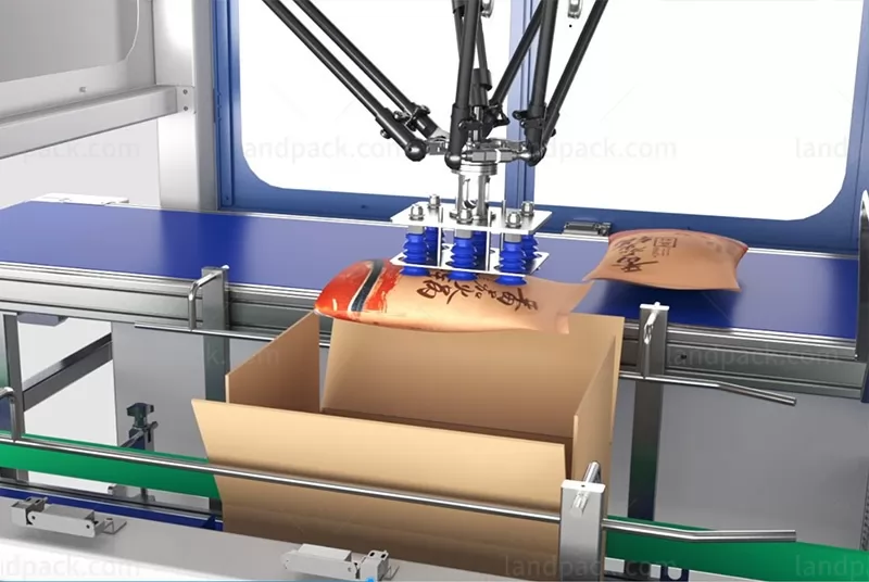 case packing system