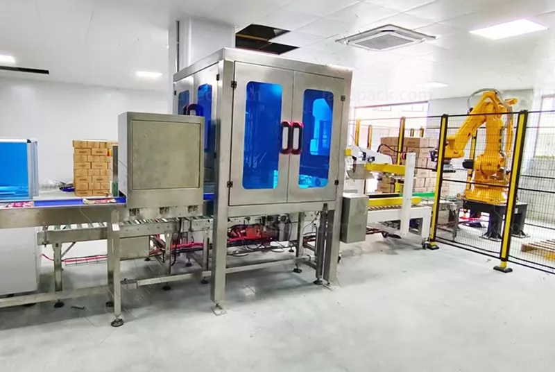 case packing machine