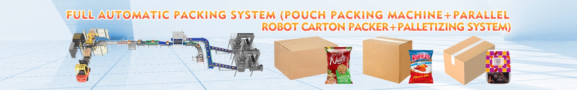 case packing system